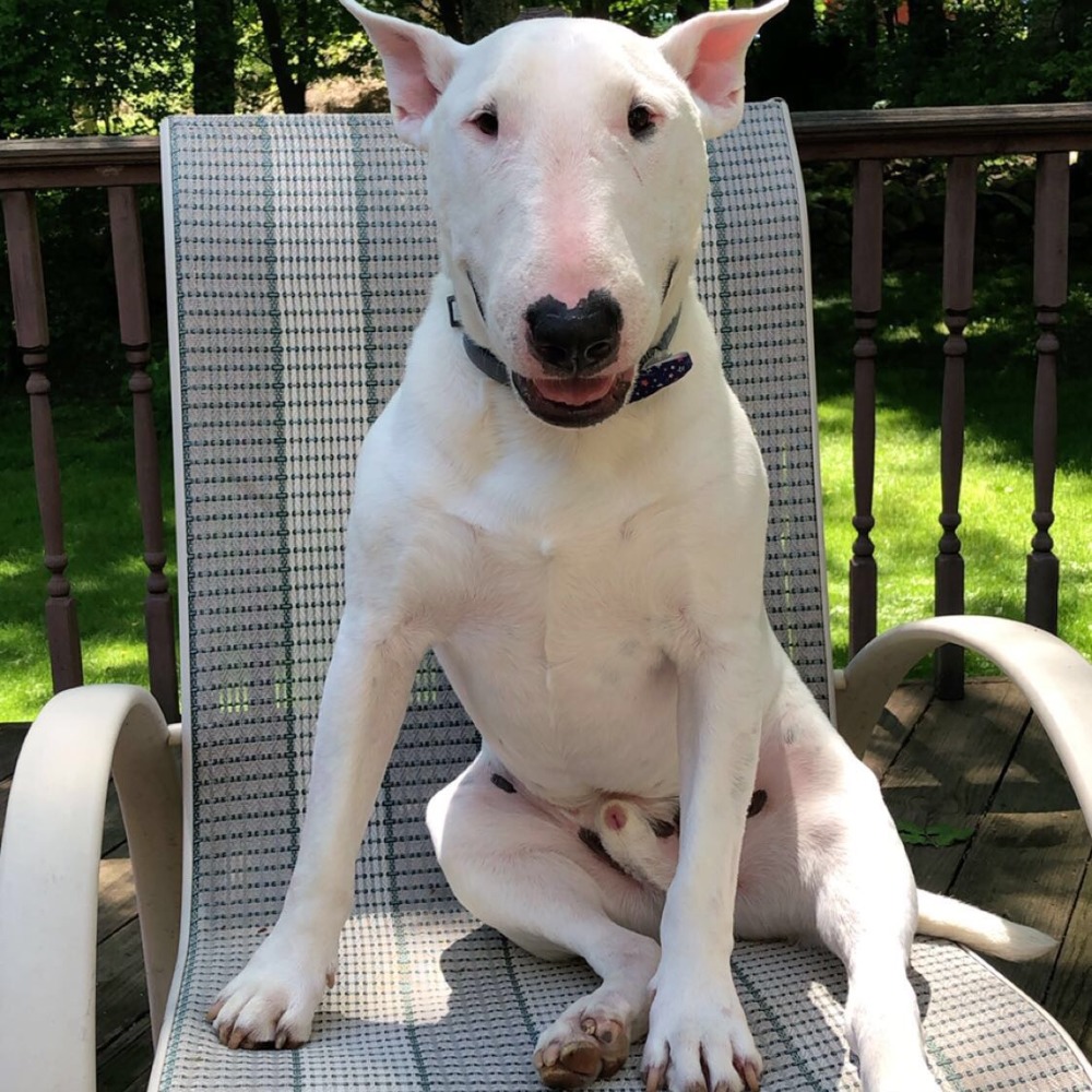 Meet your Posher, Keven